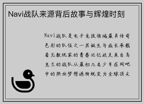 Navi战队来源背后故事与辉煌时刻