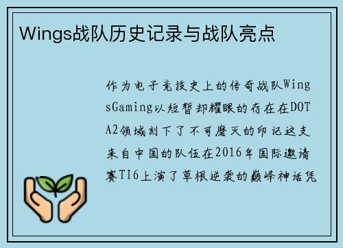 Wings战队历史记录与战队亮点